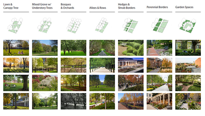 Planting Typologies: Decoding the DNA of the Drury Campus Landscape
